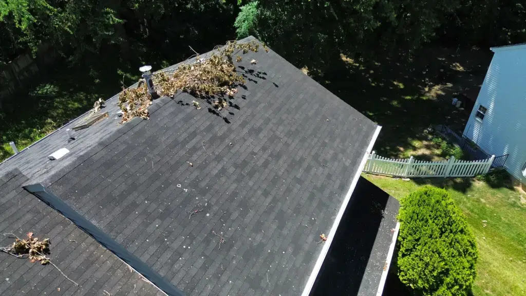dji_fly_20260616_143340_490_1781631209330_photo_optimized_result